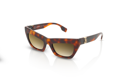 Light Havana, Brown Gradient