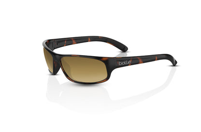 Dark Tortoise Shiny	, Brown Gradient