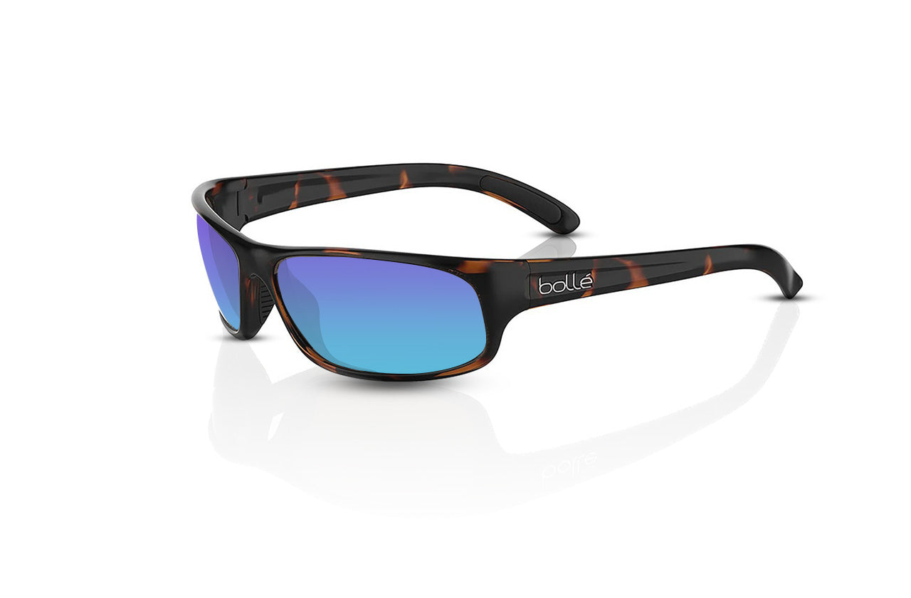 Dark Tortoise Shiny	, Blue-Mirrored