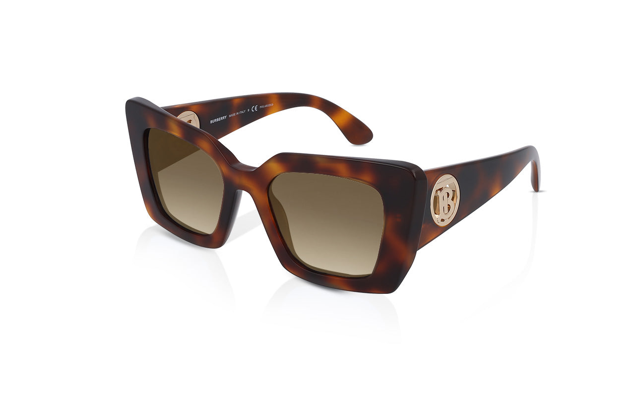 Light Havana, Brown Gradient