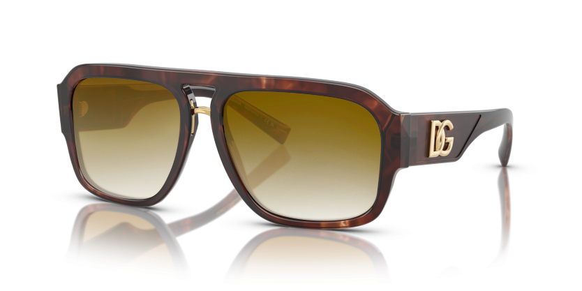 Dark red havana, Brown Gradient