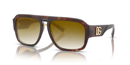 Dark red havana, Brown Gradient