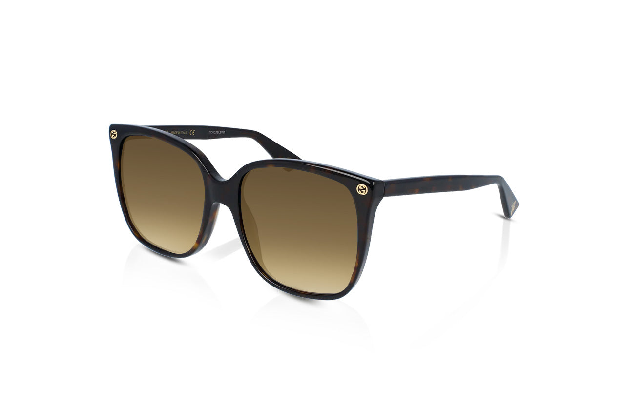 Havana	, Brown Gradient