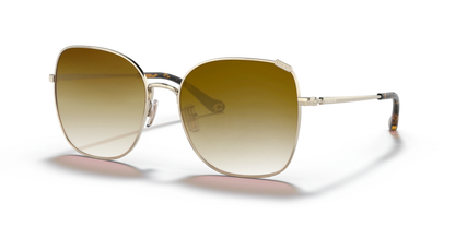 Shiny Light Gold, Brown Gradient