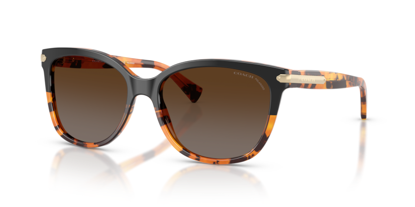 COACH HC8132 L109