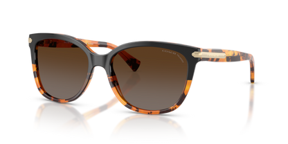 COACH HC8132 L109 - Replacement