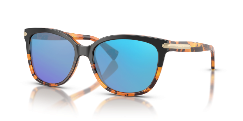 Black Tortoise Gradient, Blue-Mirrored