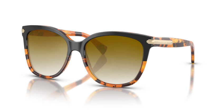 Black Tortoise Gradient, Brown Gradient