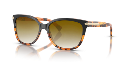 Black Tortoise Gradient, Brown Gradient