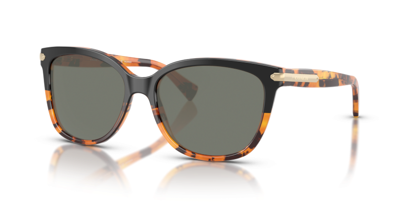 Black Tortoise Gradient, Green