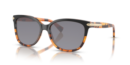 Black Tortoise Gradient, Grey-Polarized