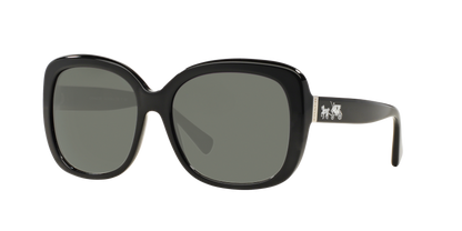 Black, Green-Polarized