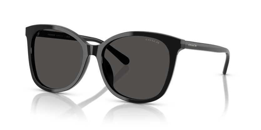 COACH HC8271U L1101 - Replacement