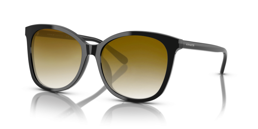 Black, Brown Gradient