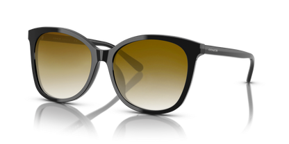 Black, Brown Gradient