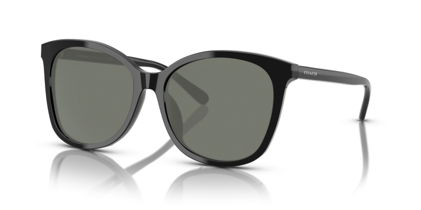 Black, Green-Polarized