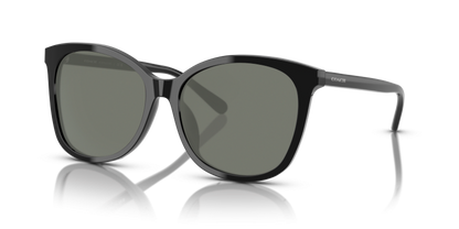 Black, Green-Polarized