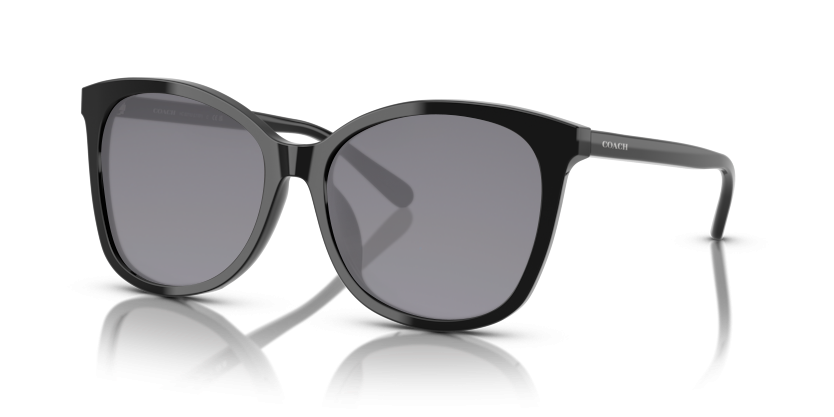 Black, Grey-Polarized