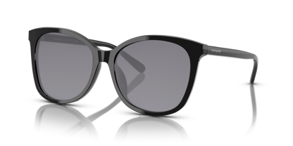 Black, Grey-Polarized