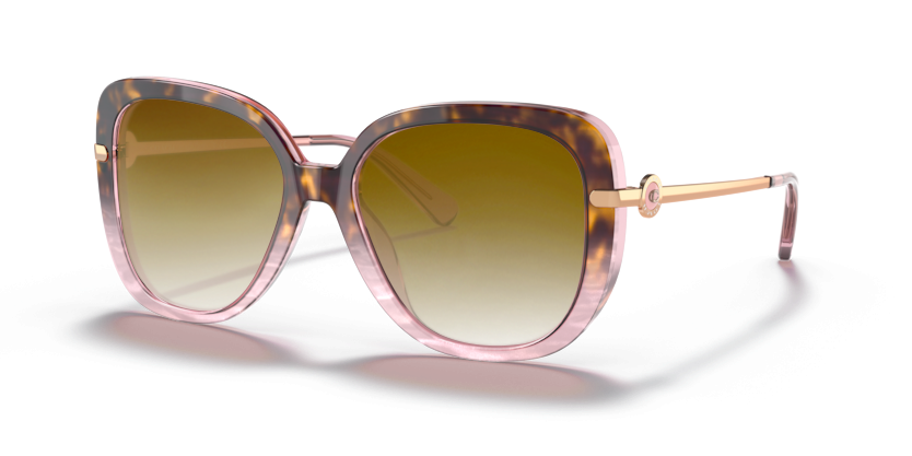 Rose Tortoise Gradient, Brown Gradient