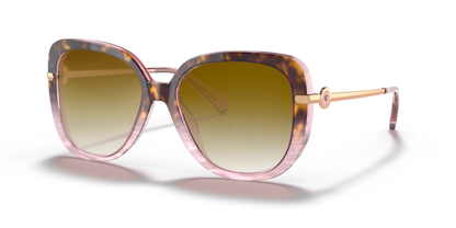 Rose Tortoise Gradient, Brown Gradient