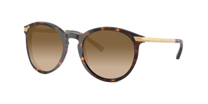 Dark Tortoise, Brown Gradient, Sunberryrx