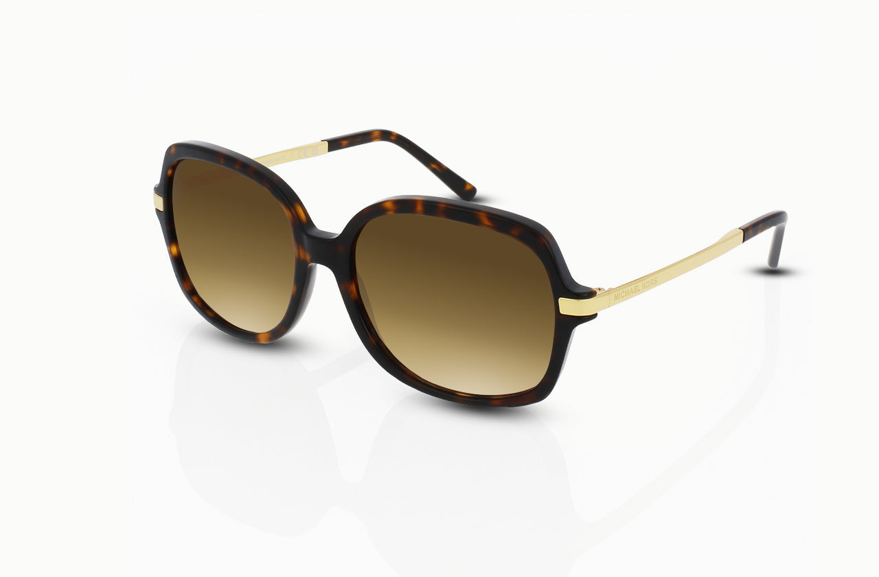 Dark Tortoise	, Brown Gradient