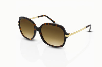 Dark Tortoise	, Brown Gradient