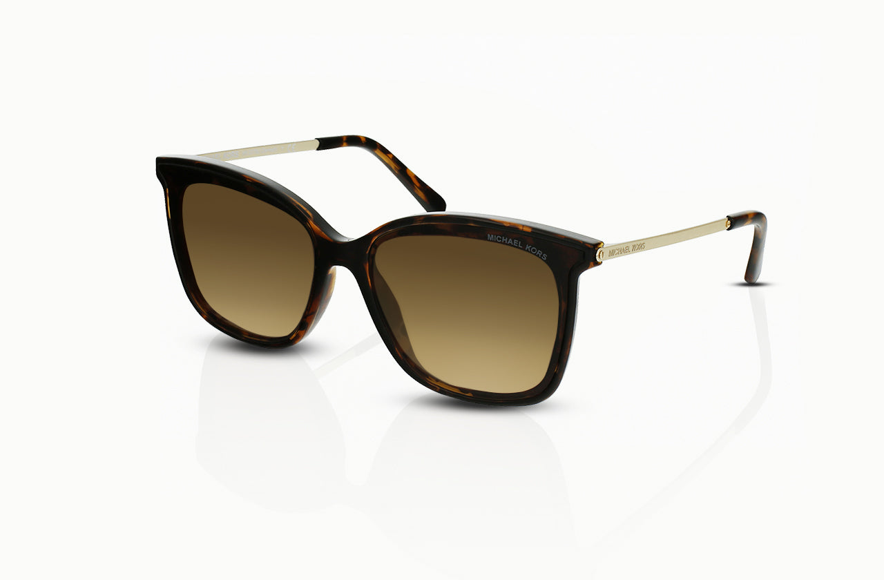 Dark Tortoise	, Brown Gradient