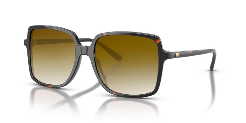 Dark Tortoise, Brown Gradient