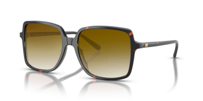 Dark Tortoise, Brown Gradient