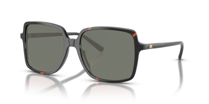 Dark Tortoise, Green-Polarized