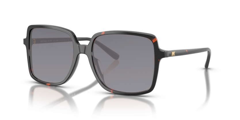 Dark Tortoise, Grey