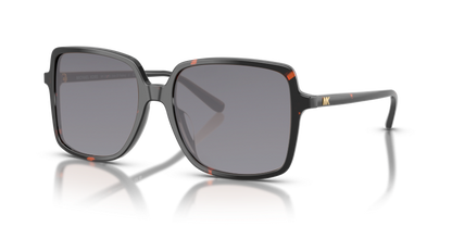Dark Tortoise, Grey-Polarized