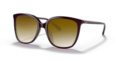 Cordovan, Brown Gradient