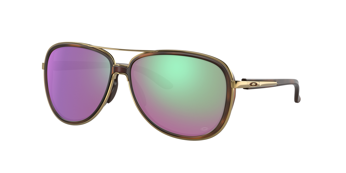 BROWN TORTOISE, Prizm Gulf, Oakley