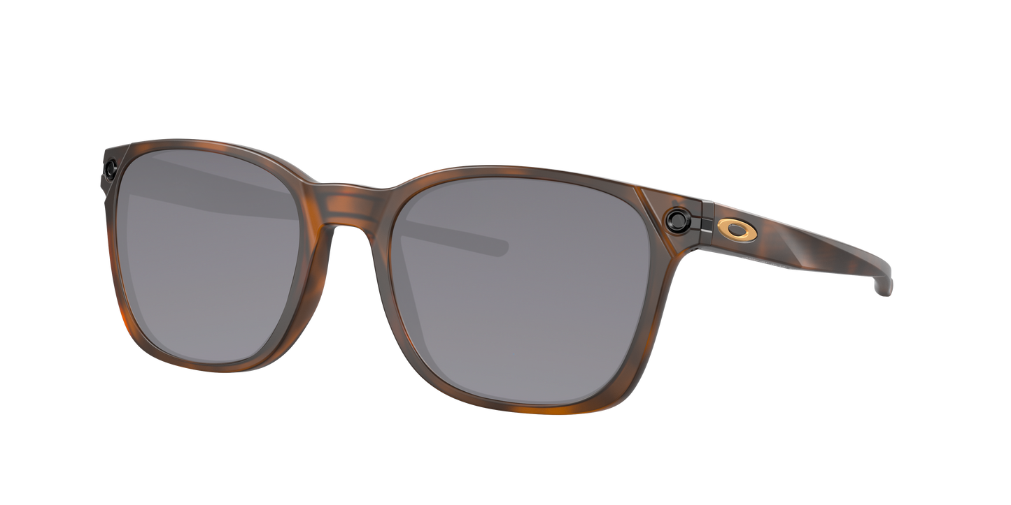 MATTE BROWN TORTOISE, Grey-Polarized, Sunberryrx