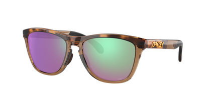 BROWN TORT/BROWN SMOKE, Prizm Gulf, Oakley