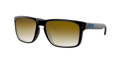 POLISHED BLACK, Brown Gradient, Sunberryrx