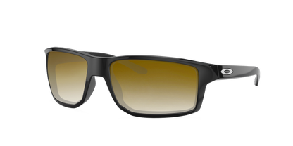 POLISHED BLACK, Brown Gradient , Sunberryrx