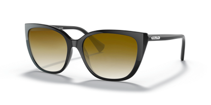 Shiny Black, Brown Gradient