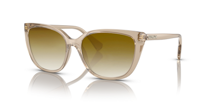 Shiny Transparent Brown, Brown Gradient