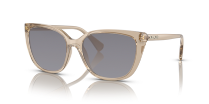 Shiny Transparent Brown, Grey