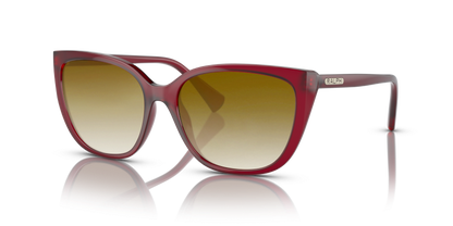 Transparent Bordeaux, Brown Gradient