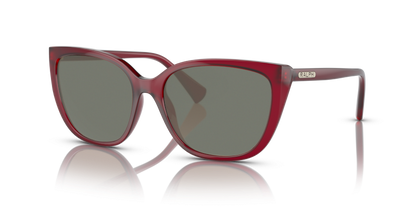 Transparent Bordeaux, Green-Polarized