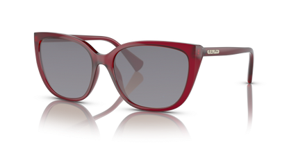 Transparent Bordeaux, Grey