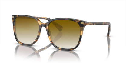 Shiny Havana Yellow, Brown Gradient