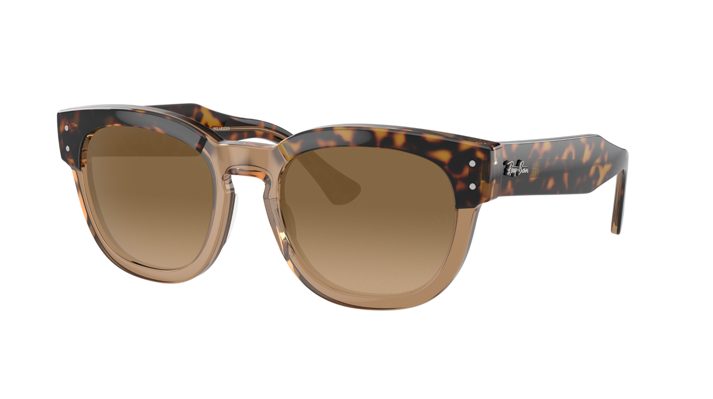 HAVANA ON TRANSPARENT BR, Brown Gradient, Sunberryrx