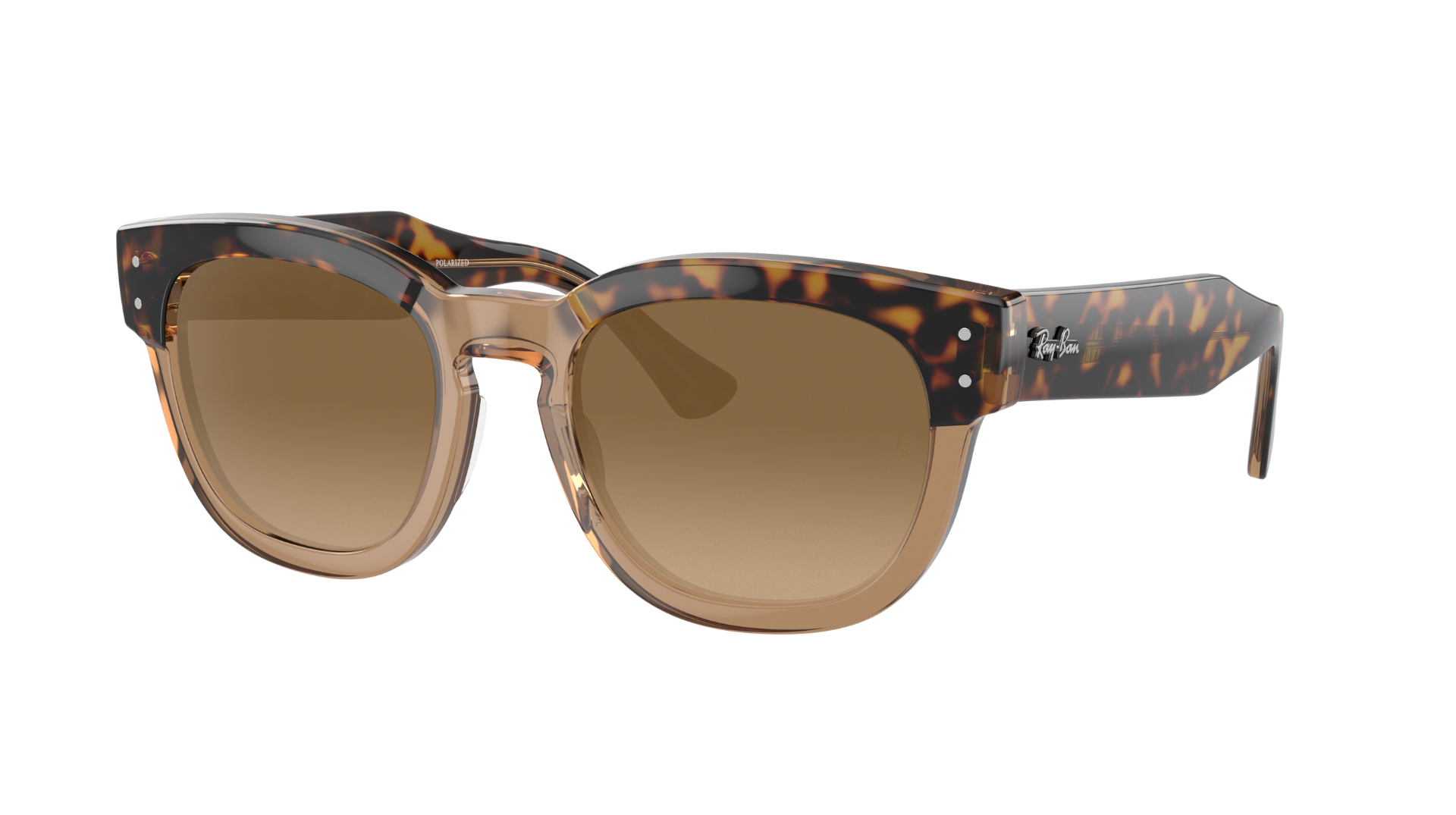 HAVANA ON TRANSPARENT BR, Brown Gradient, Sunberryrx