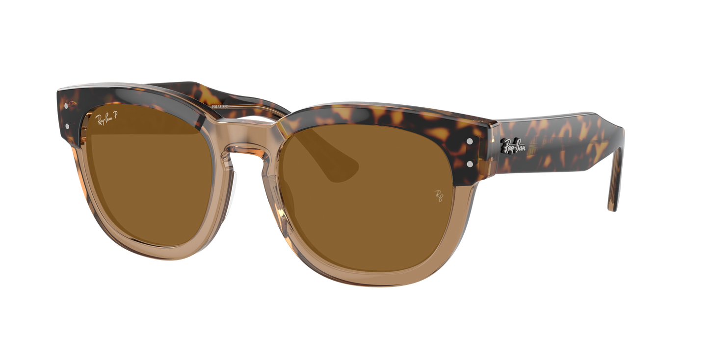 HAVANA ON TRANSPARENT BR, Brown-Polarized, Rayban